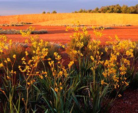 Royal Botanic Gardens Victoria Cranbourne - New Castle Holiday 0