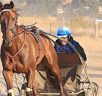 Ballarat  District Trotting Club - New Castle Holiday