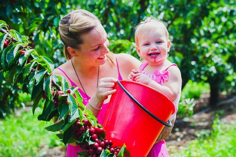 Cherryhill Orchards - New Castle Holiday 0