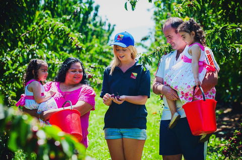 Cherryhill Orchards - New Castle Holiday 1
