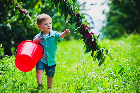Cherryhill Orchards - New Castle Holiday 2