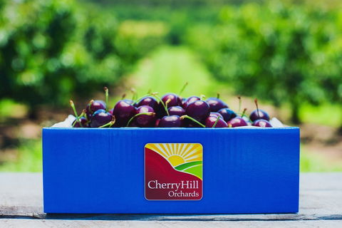 Cherryhill Orchards - New Castle Holiday 8