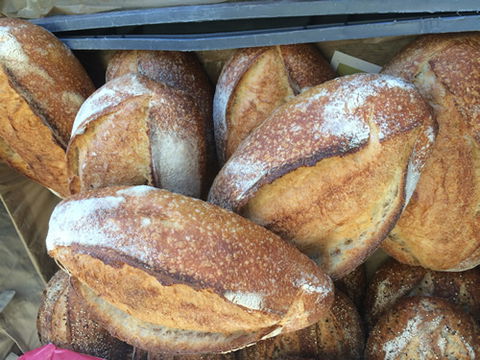 Main Street Market Mornington - New Castle Holiday 8