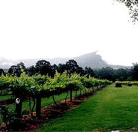 Cambewarra Estate Wines - New Castle Holiday