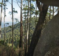 Gulaga National Park - New Castle Holiday