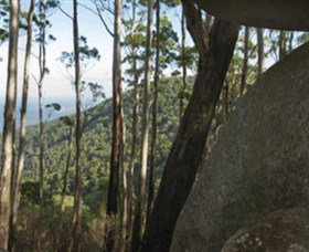 Gulaga National Park - New Castle Holiday 0