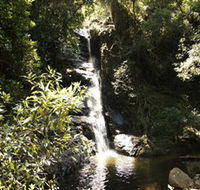 Macquarie Pass National Park - New Castle Holiday