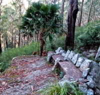 Wodi Wodi Walking Track - New Castle Holiday