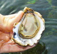 The Oyster Pot - New Castle Holiday