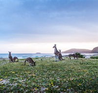 Pebbly Beach - New Castle Holiday