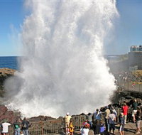 Kiama Blowhole - New Castle Holiday