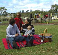 Blackbutt Forest Reserve - New Castle Holiday