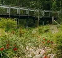 Eurobodalla Botanic Gardens - New Castle Holiday