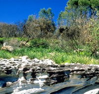 Abrahams Bosom Reserve - New Castle Holiday