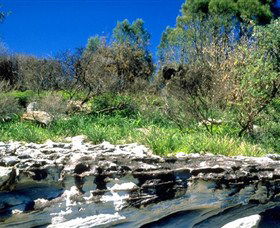 Abrahams Bosom Reserve - New Castle Holiday 0