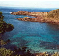 Bass Point Reserve - New Castle Holiday