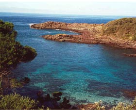 Bass Point Reserve - New Castle Holiday 0