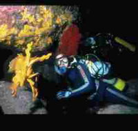 Solitary Islands Marine Park - New Castle Holiday