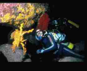 Solitary Islands Marine Park - New Castle Holiday 0