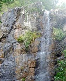 Wedding Bells Forest Drive - New Castle Holiday 0