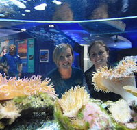 Solitary Islands Aquarium - New Castle Holiday
