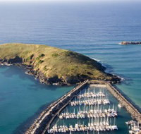 Muttonbird Island Nature Reserve - New Castle Holiday