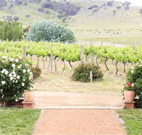 Brindabella Hills Winery - New Castle Holiday