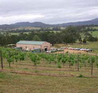 Villa d Esta Vineyard - New Castle Holiday