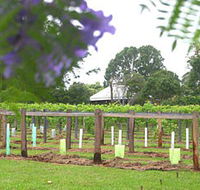 Douglas Vale Historic Homestead  Vineyard - New Castle Holiday