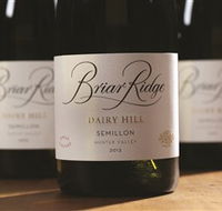 Briar Ridge Vineyard - New Castle Holiday