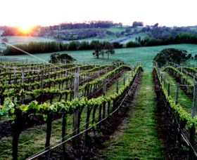 Philip Shaw Wines - New Castle Holiday 1