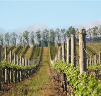 Philip Shaw Wines - New Castle Holiday