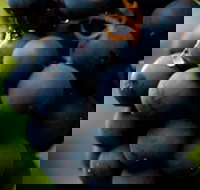 Swinging Bridge Estate - New Castle Holiday