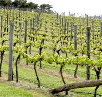 Bantry Grove - New Castle Holiday