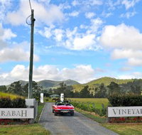 Sarabah Estate Vineyard - New Castle Holiday