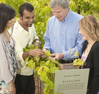 Jacob's Creek Vineyard Tour - New Castle Holiday