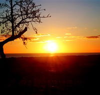Rocky Ridge Vineyard and Cellar Door - New Castle Holiday