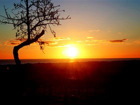 Rocky Ridge Vineyard And Cellar Door - New Castle Holiday 0