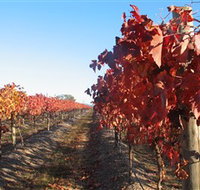 Kooyonga Creek Wines - New Castle Holiday