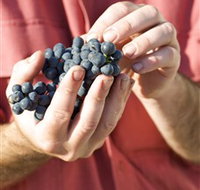 Brown Magpie Wines - New Castle Holiday