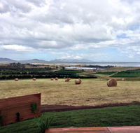 The Hazards Vineyard - Devil's Corner - New Castle Holiday