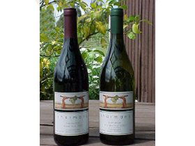 North Esk River Vineyard - New Castle Holiday 0