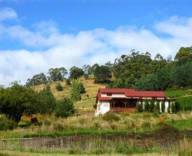 St Imre Vineyard - New Castle Holiday 0