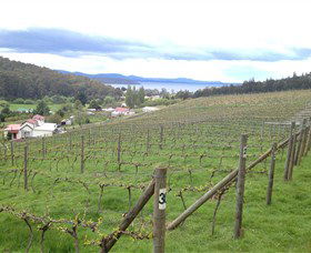 St Imre Vineyard - New Castle Holiday 1