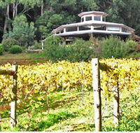 Peveril Vineyard/Beechy Berries - New Castle Holiday