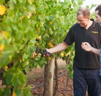 Fratin Brothers Vineyard - New Castle Holiday