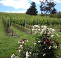 Pembroke Estate Vineyard - New Castle Holiday