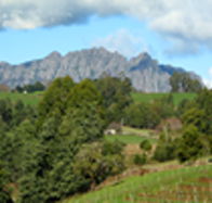 Lake Barrington Vineyard - New Castle Holiday
