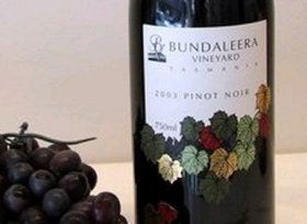 Bundaleera Vineyard - New Castle Holiday 0