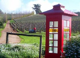 Dalrymple Vineyards - New Castle Holiday 0